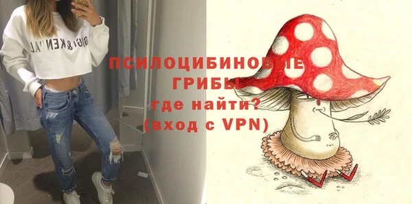 спиды Россошь