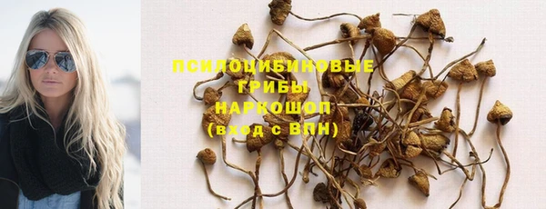 бошки Алексеевка