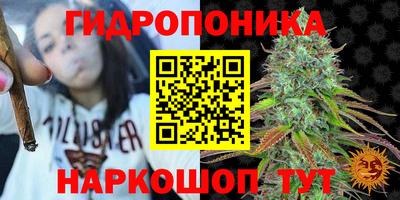 ALPHA PVP Заволжье