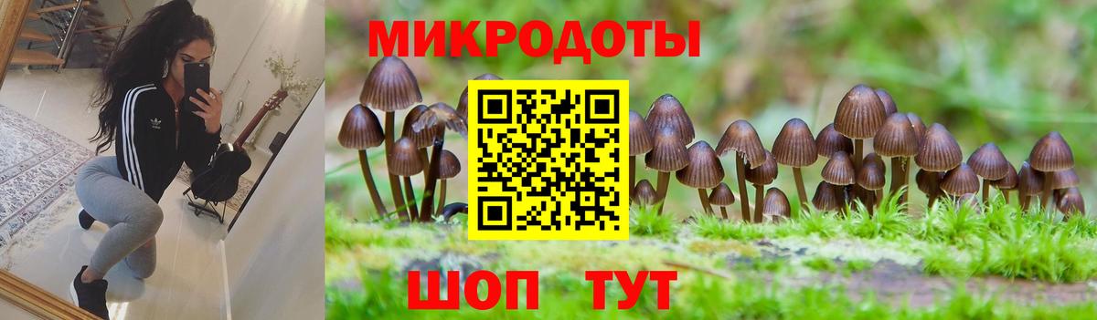 что такое наркотик  Псилоцибиновые грибы мицелий  Вход с VPN  Глазов 